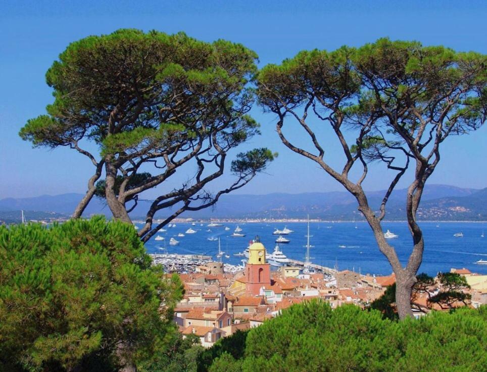 Villa Made Saint-Tropez Eksteriør billede